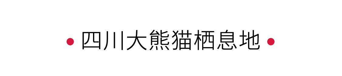 四川大熊貓棲息地:一個“活的博物館” | 手機里的中國世界遺產(chǎn)