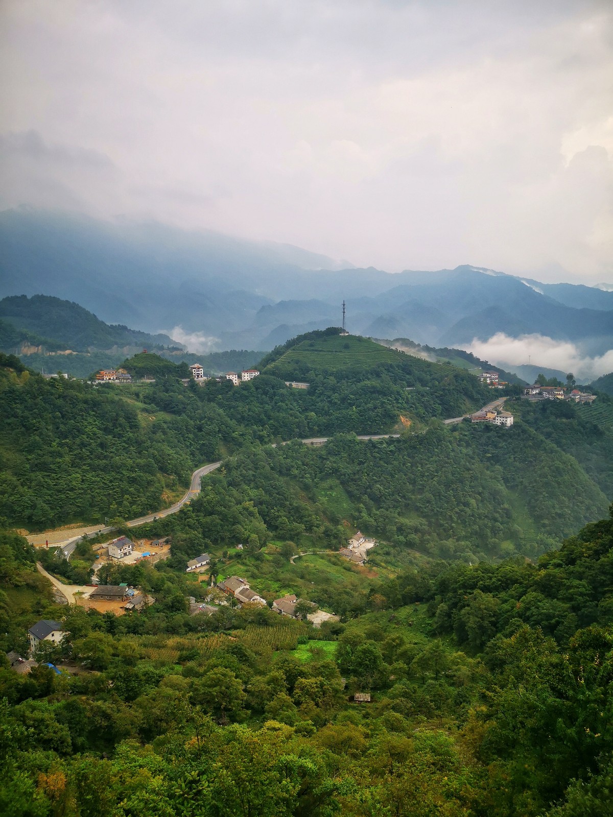 探秘生命秘境神農(nóng)架 | 手機里的中國世界遺產(chǎn)
