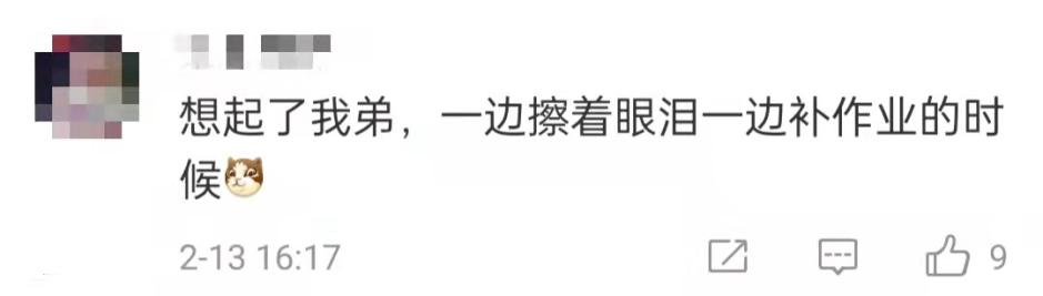 請(qǐng)欣賞，寒假定檔大戲《我與作業(yè)的“愛恨情仇”》