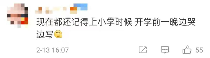 請(qǐng)欣賞，寒假定檔大戲《我與作業(yè)的“愛恨情仇”》