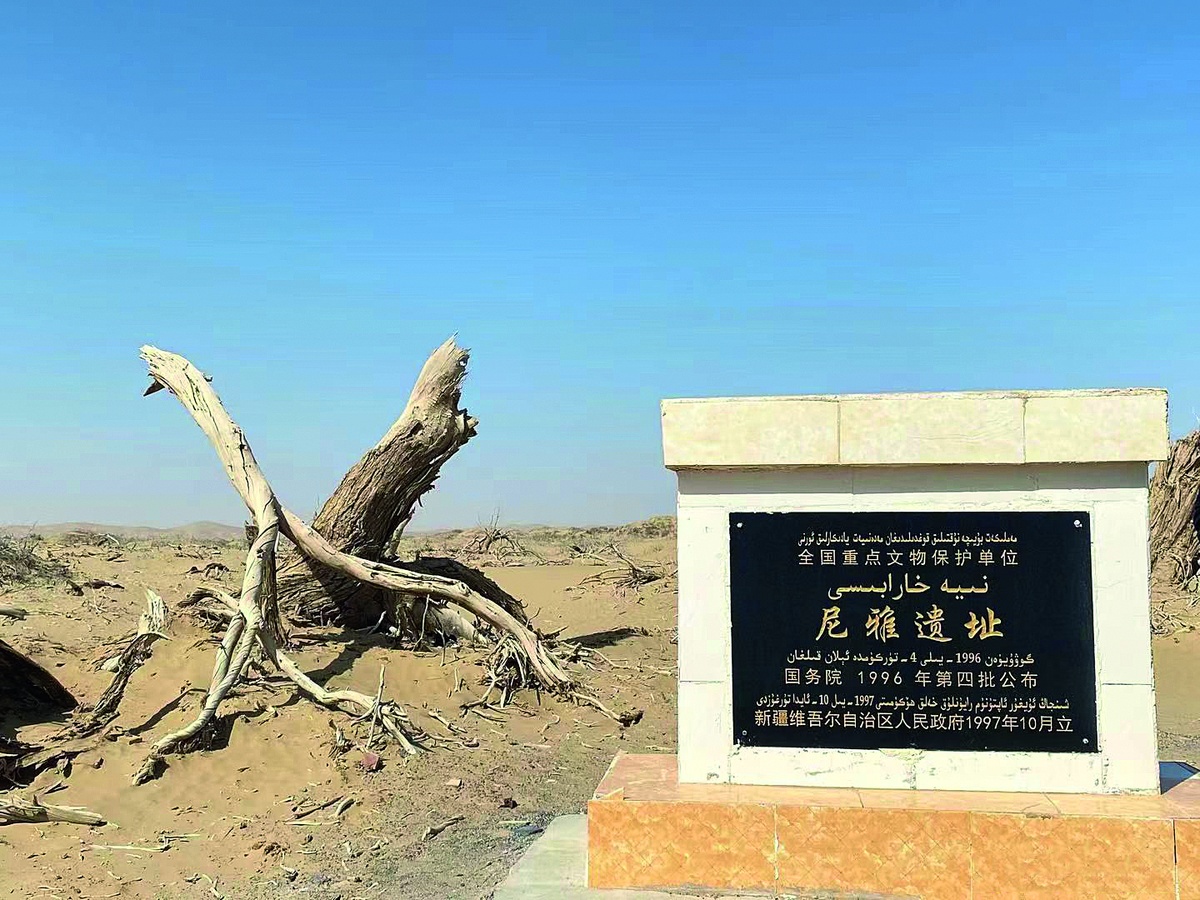 齊東方，在絲綢之路上跟著感覺走