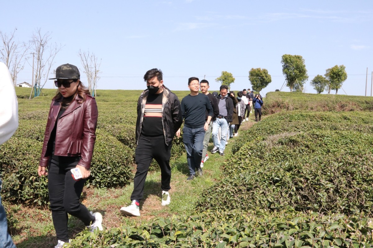 “文化賦能 e富行動(dòng)”在浙江上虞舉行