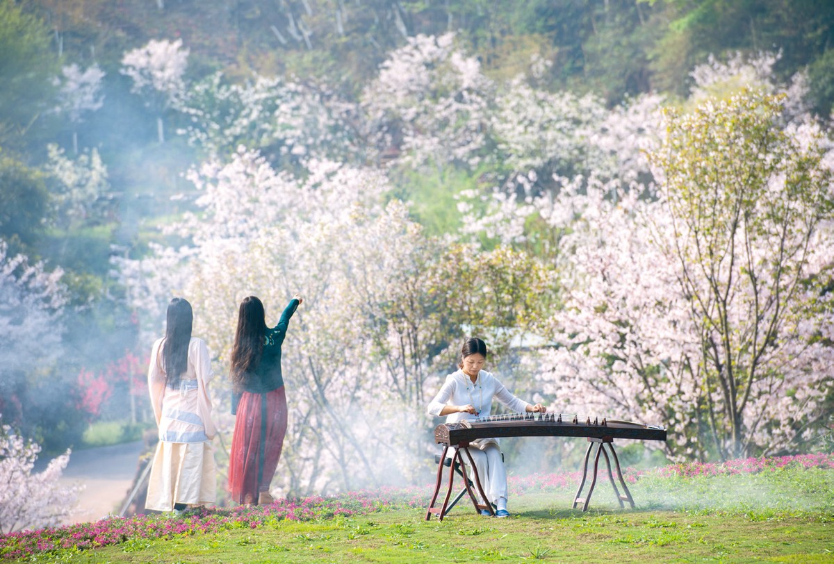 一朵“梨花”,挑起全域旅游擔子