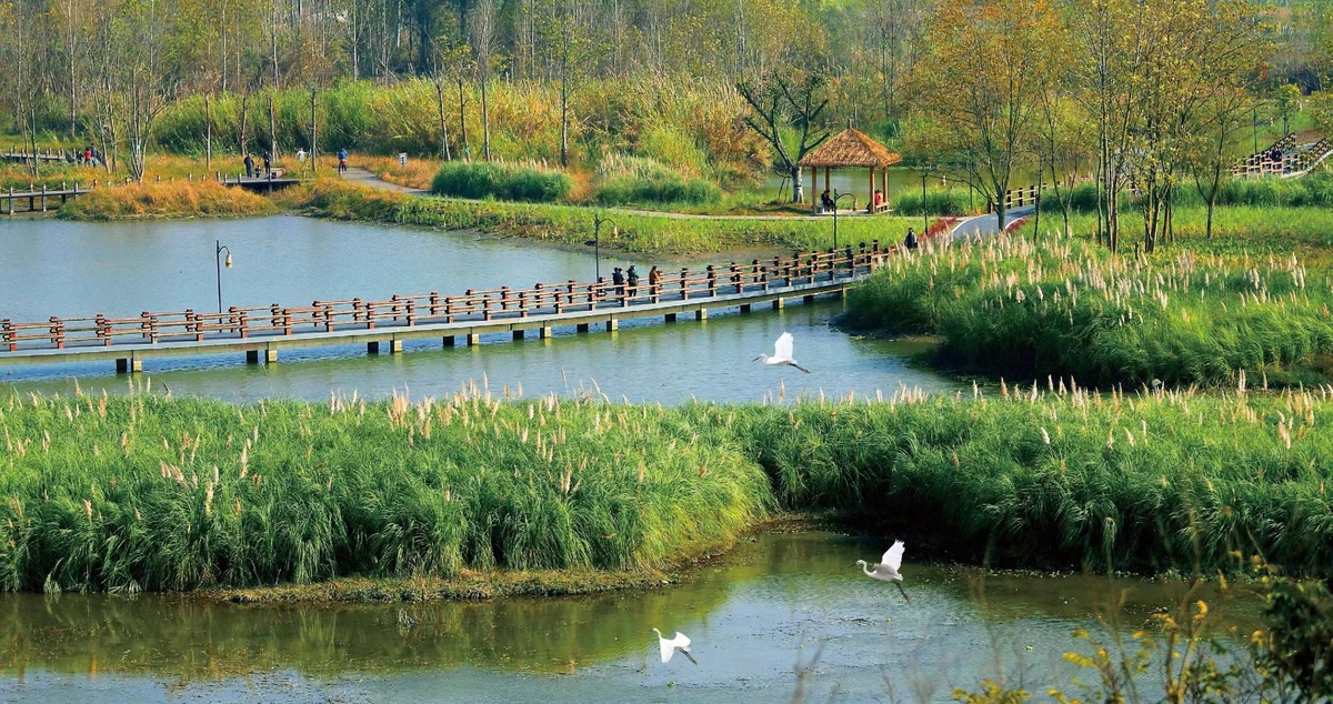公園城市的“新津表達(dá)”