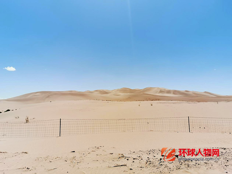 圣牧：沙漠逆行，找回兩千年前的綠洲
