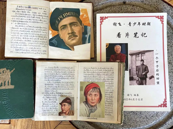 謝飛,八旬導演新晉“豆紅”