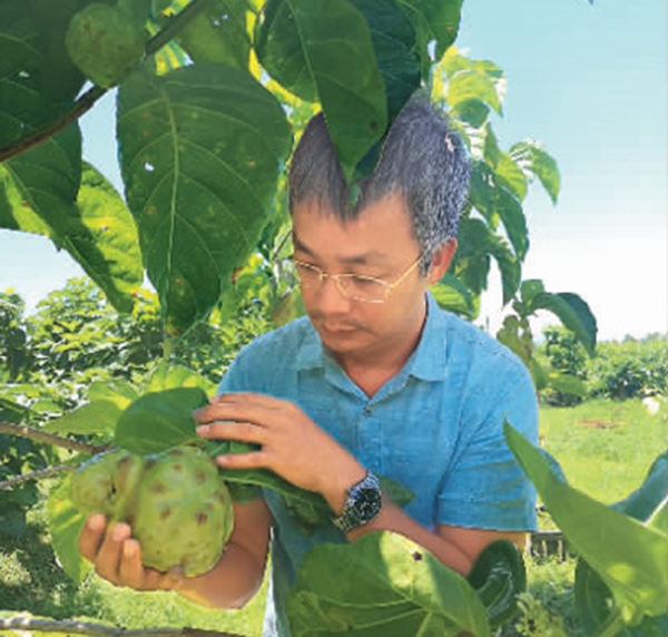 “‘一帶一路’讓太平洋明珠更加璀璨”（這十年，“一帶一路”上的僑力量⑩）