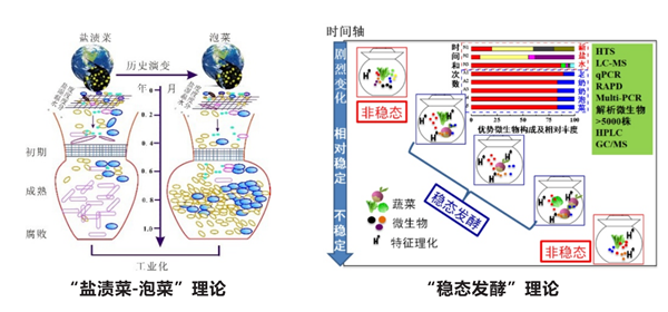 用科技創(chuàng)新書寫食品發(fā)酵的“寶典”