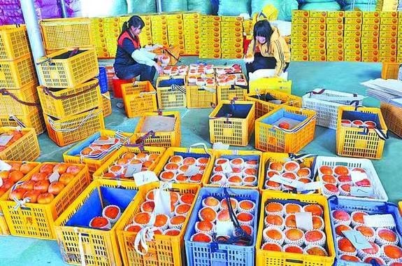 仙游臺(tái)創(chuàng)園：果實(shí)累累，香飄兩岸