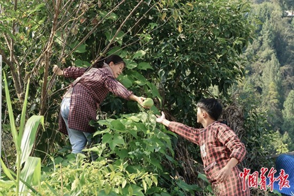 找到那個(gè)頭破血流的年輕人......