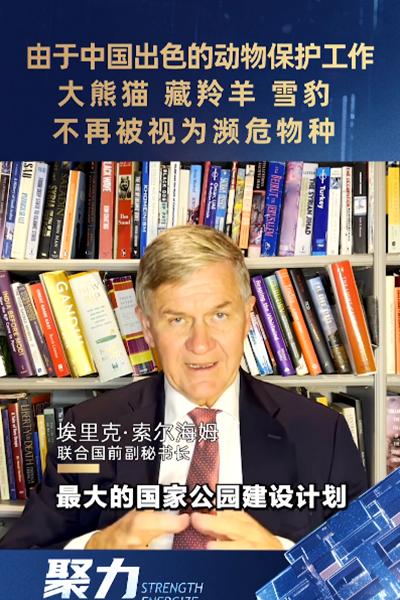 埃里克·索爾海姆：由于中國出色的動(dòng)物保護(hù)工作，大熊貓、藏羚羊、雪豹不再被視為瀕危物種