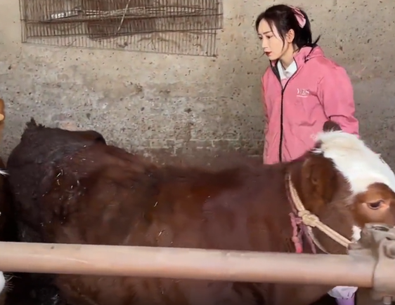 “穿得粉、治得準”！這位95后女獸醫(yī)，牛！