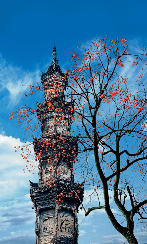 “古鎮(zhèn)金三角”,破題“千鎮(zhèn)一面”