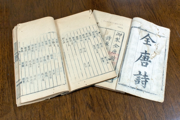 “古鎮(zhèn)金三角”,破題“千鎮(zhèn)一面”