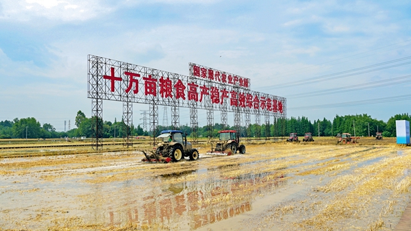 天府糧倉: “智慧田”的智慧密碼