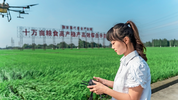 天府糧倉: “智慧田”的智慧密碼