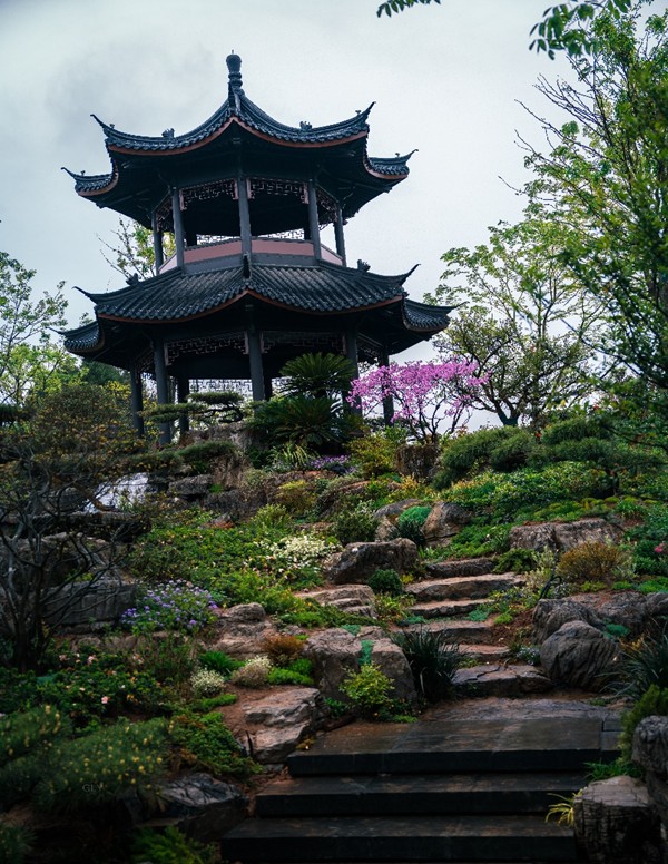 花聚錦官城!“園”來這么美
