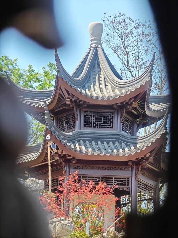 花聚錦官城!“園”來這么美