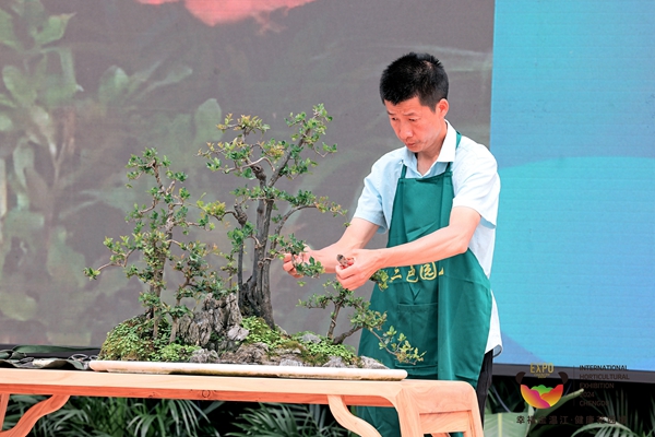 2024年成都世界園藝博覽會(huì)開幕