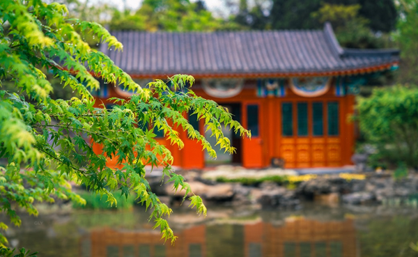 世園會展園“鮮”劇透！這個“五一”共赴繁花之約