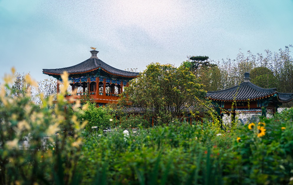 世園會展園“鮮”劇透！這個“五一”共赴繁花之約