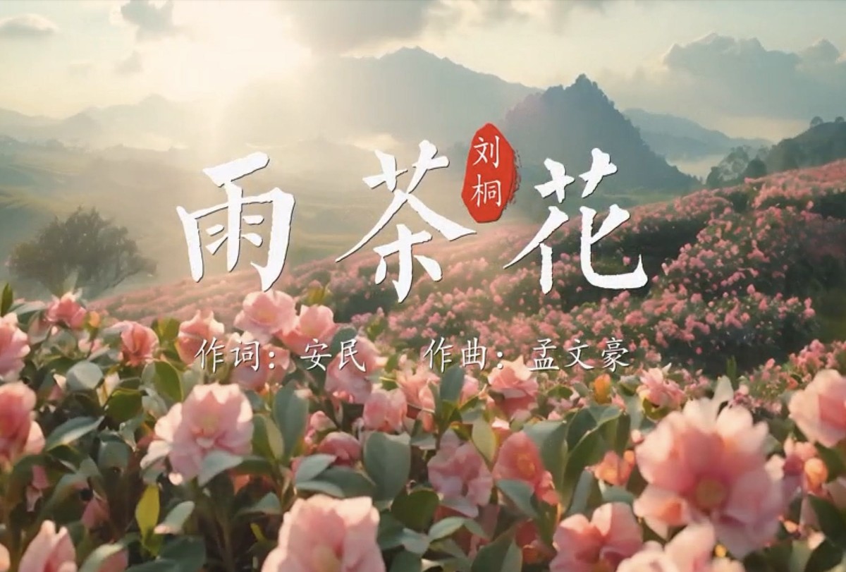 一首《雨茶花》，演繹山水如畫、情懷如歌