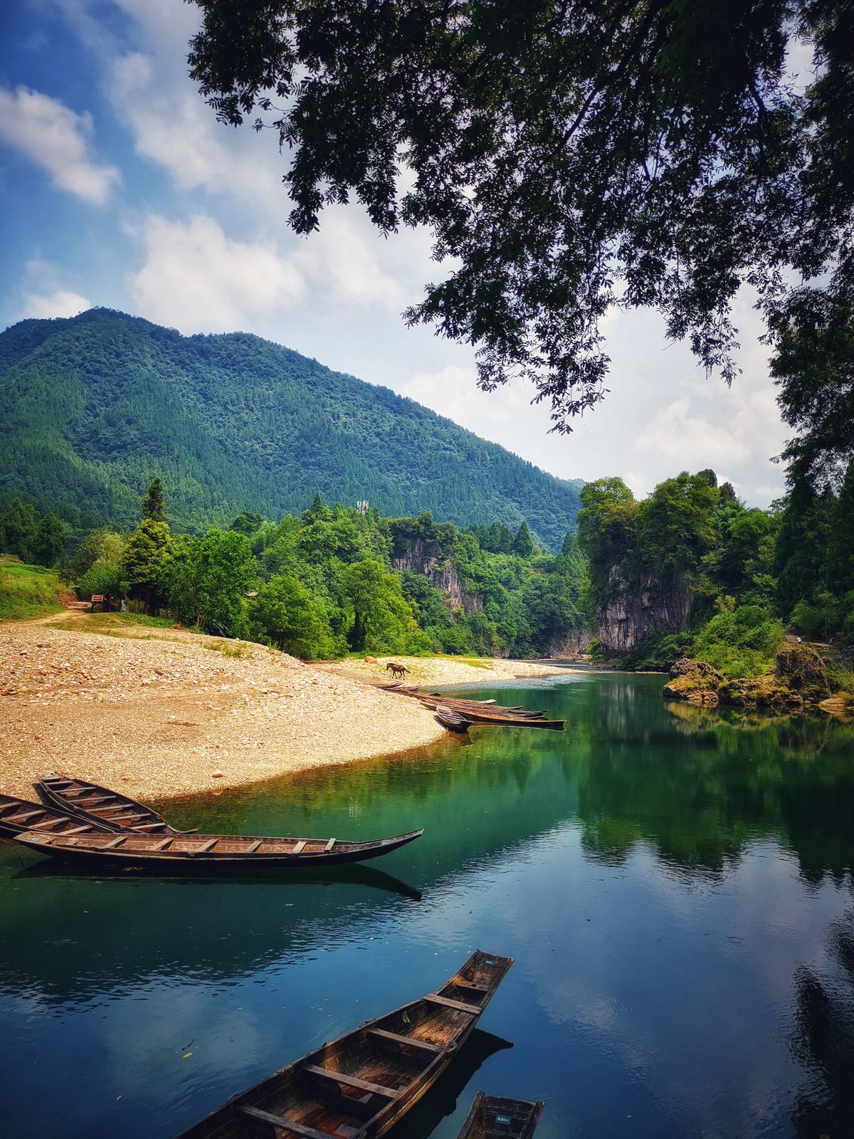 土司遺址：一段獨(dú)特的歷史印記 