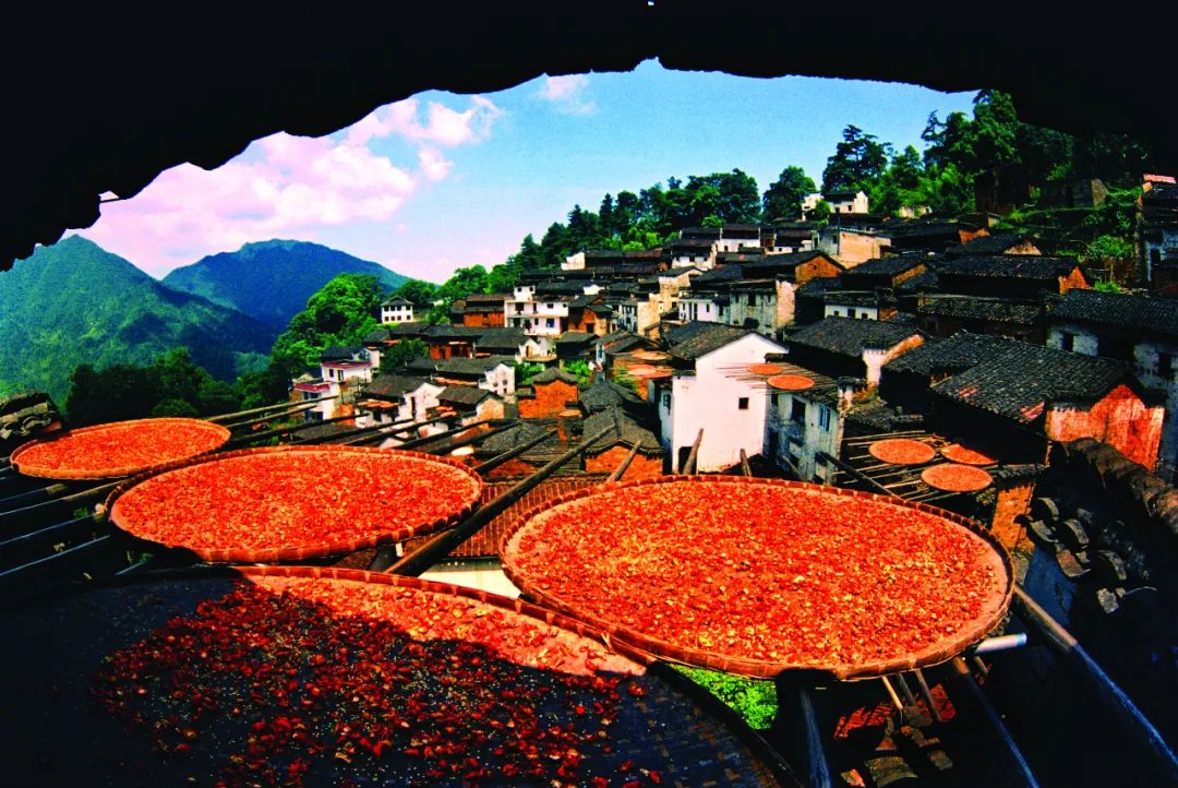 中國(guó)最美鄉(xiāng)村任你游 