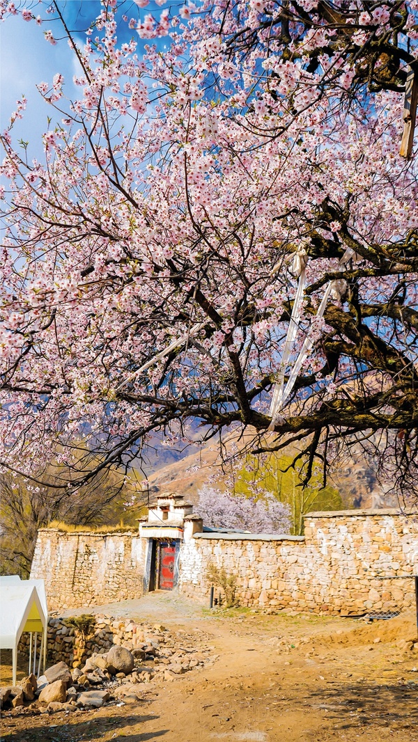 新桃花源記