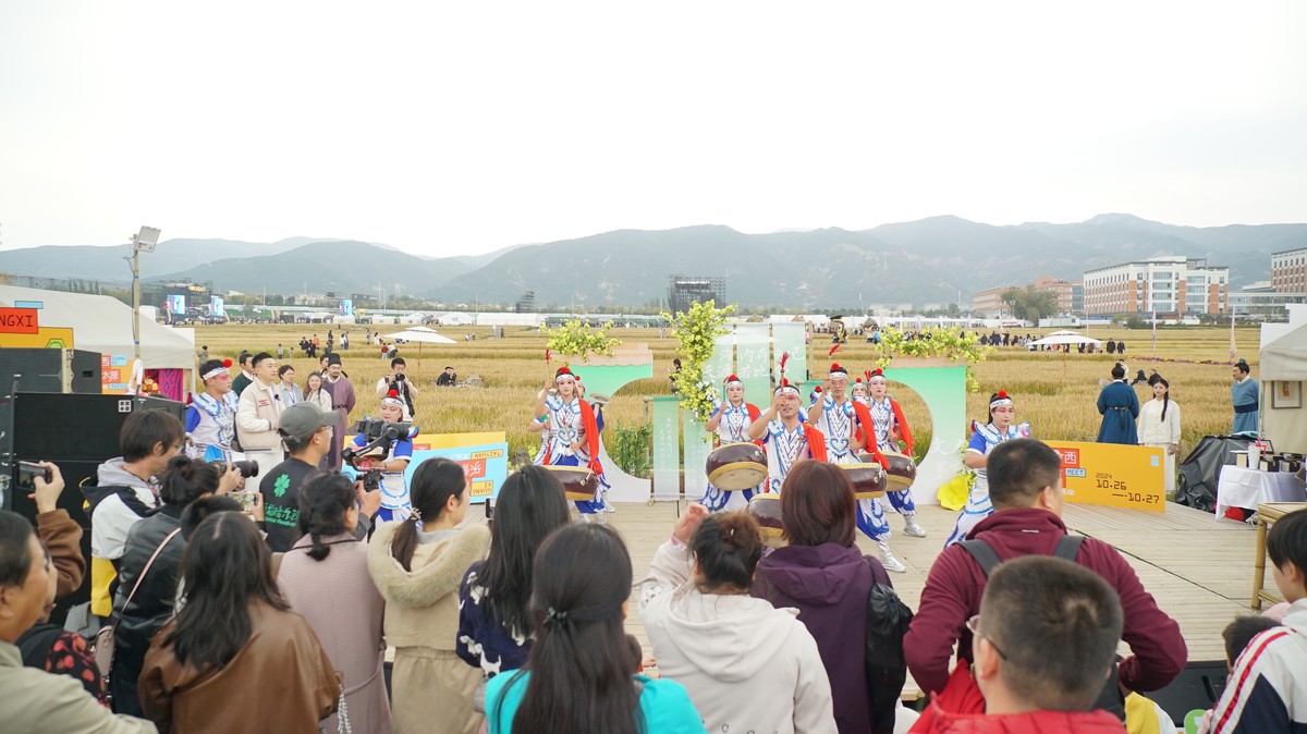 太原稻田音樂節(jié)燃情開唱 萬人狂歡