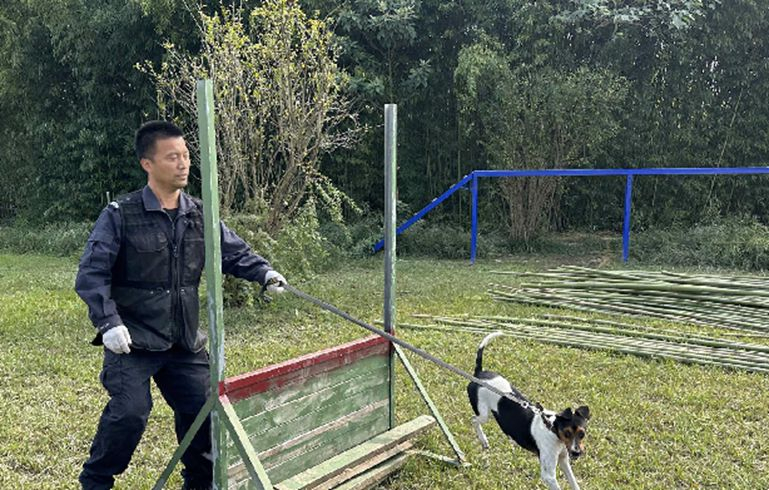 “汪汪隊”神犬是如何煉成的？<